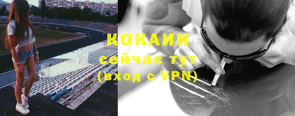 ГАЛЛЮЦИНОГЕННЫЕ ГРИБЫ Краснослободск