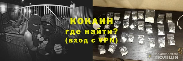 ГАЛЛЮЦИНОГЕННЫЕ ГРИБЫ Краснослободск