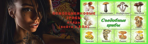 ГАЛЛЮЦИНОГЕННЫЕ ГРИБЫ Краснослободск