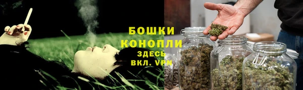 крисы Краснотурьинск