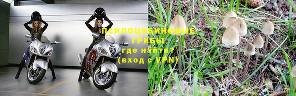 ГАЛЛЮЦИНОГЕННЫЕ ГРИБЫ Краснослободск