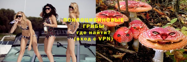 гидра Красноперекопск